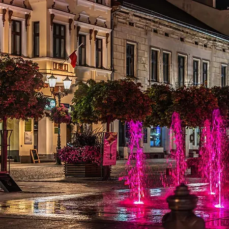 Apartament Nideckiego *