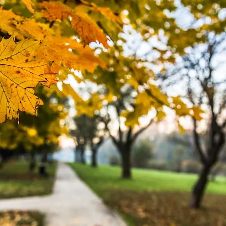 Nideckiego * Oświęcim